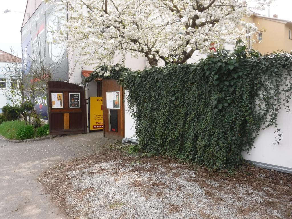 Pension Macelis Ceske Budejovice Dış mekan fotoğraf